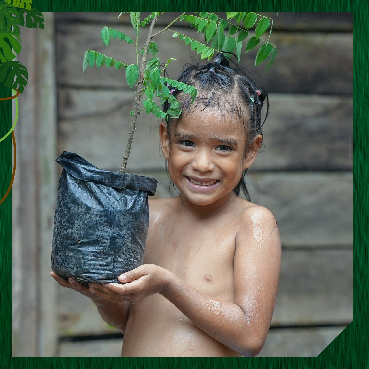 🌳Adopt Your Own Plant Child (Heal the Community)