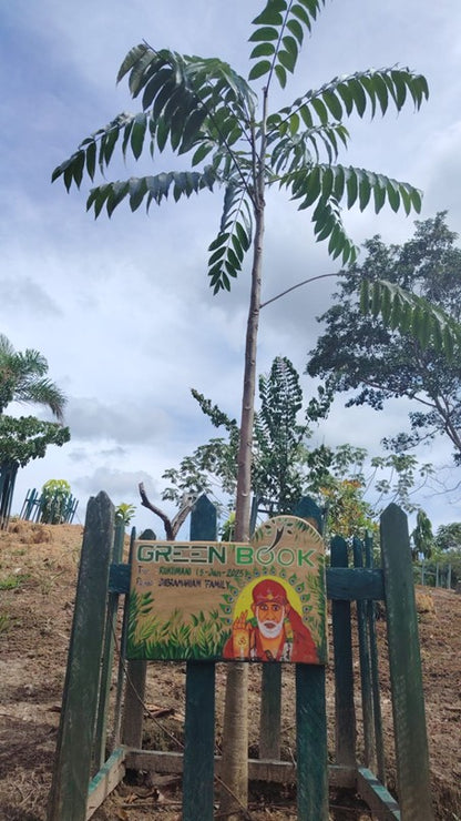 🌳Gift an Eternal Memory